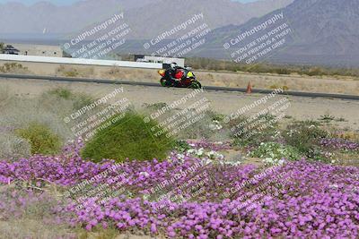 media/Feb-04-2023-SoCal Trackdays (Sat) [[8a776bf2c3]]/Turn 15 Inside Blooming (1050am)/